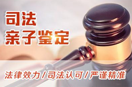 鄂尔多斯司法DNA亲子鉴定流程,鄂尔多斯司法亲子鉴定费用是多少